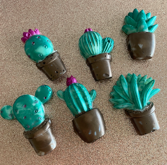 Cactus Cutie Wax Melts