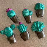 Cactus Cutie Wax Melts